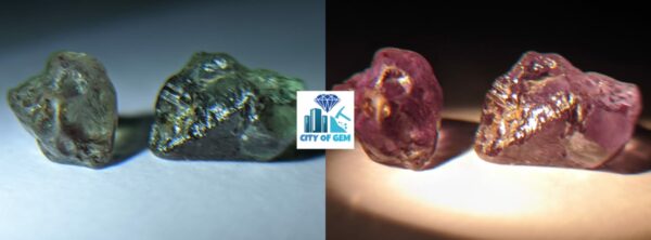 Rare Natural Chrysoberyl Alexanderite Rough Gemstones Couple - city of gem Ratnapura