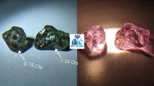 Rare Natural Chrysoberyl Alexanderite Rough Gemstones Couple - city of gem Ratnapura