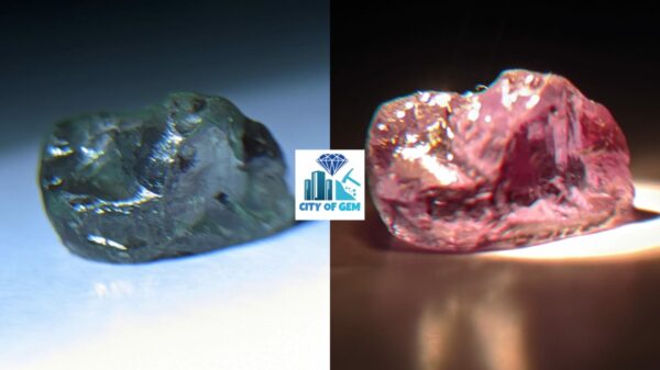 Rare Natural Chrysoberyl Alexanderite Rough Gemstones Couple - city of gem Ratnapura