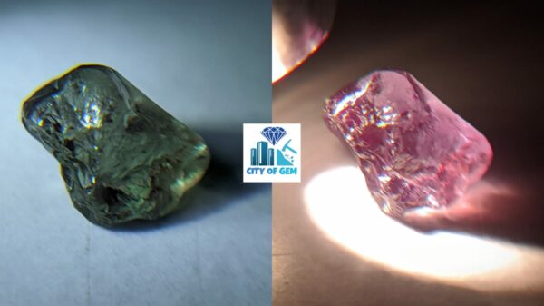 Rare Natural Chrysoberyl Alexanderite Rough Gemstones Couple - city of gem Ratnapura