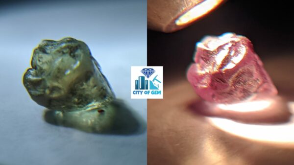 Rare Natural Chrysoberyl Alexanderite Rough Gemstones Couple - city of gem Ratnapura