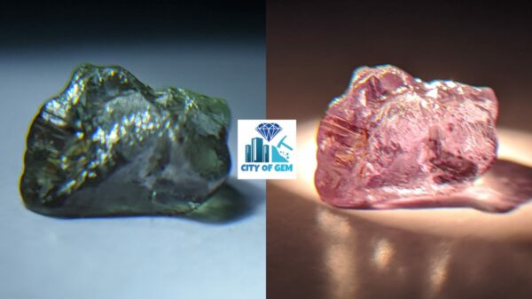 Rare Natural Chrysoberyl Alexanderite Rough Gemstones Couple - city of gem Ratnapura