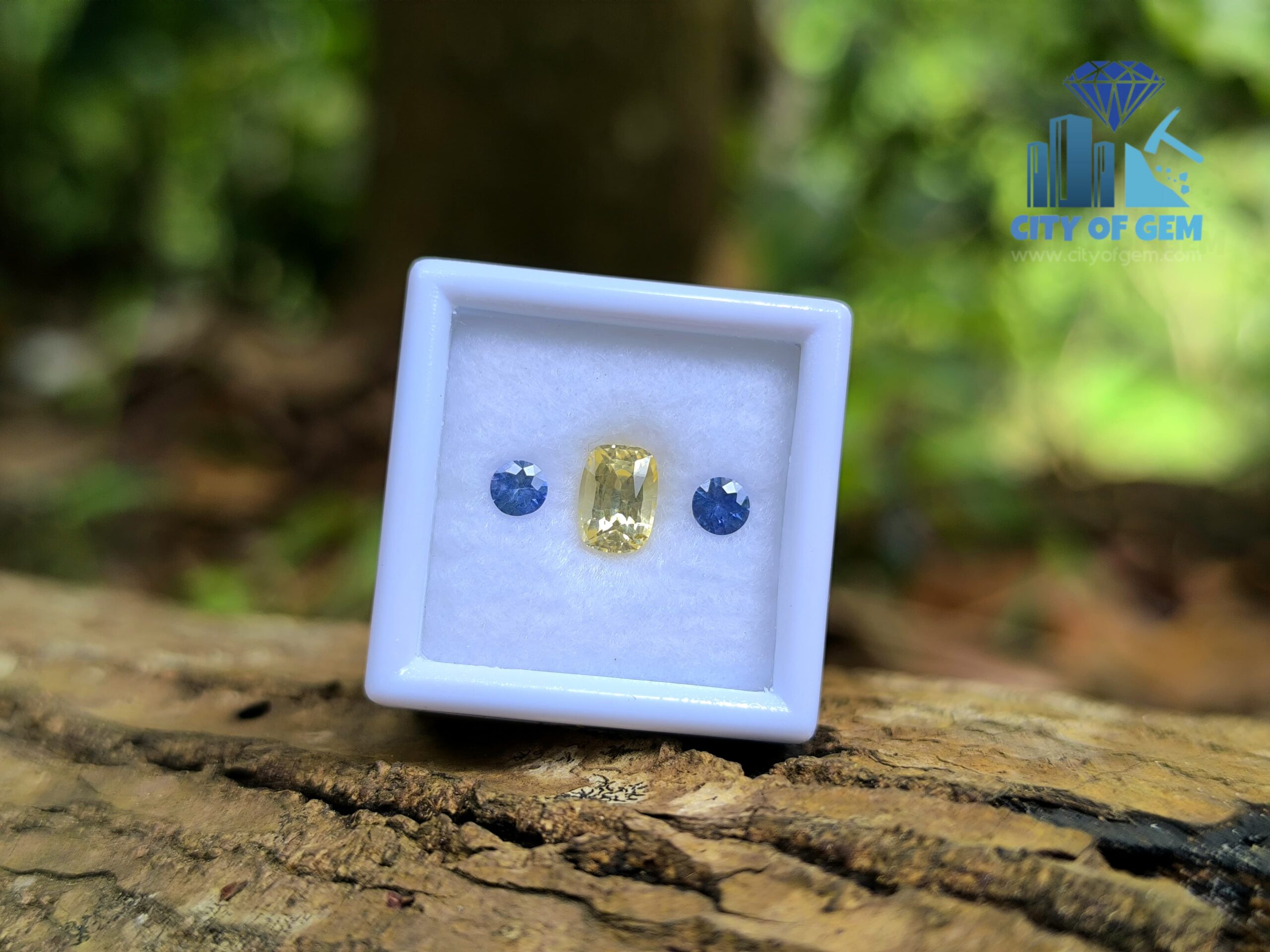 Ceylon-Natural-Yellow-Sapphire-Blue-Pair-for-Jewelry-Designs