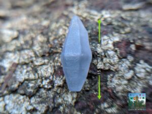 CEYLON NATURAL BLUE SAPPHIRE COMPLETE CRYSTAL