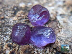 CEYLON NATURAL PURPLE SAPPHIRE ROUGH GEMSTONES