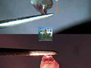 Very Rare Natural Chrysoberyl Alexanderite Cat's Eye Rough Gemstone