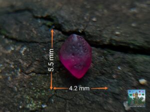 Ceylon Natural Ruby & Padparadscha Sapphire Rough Gemstones ( Sri Lankan Ruby & King Sapphire )