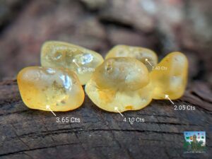 CEYLON NATURAL YELLOW SAPPHIRE ROUGH LOT ( පුෂ්පරාග දලන් ලොට් )