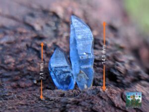 CEYLON Natural Blue Sapphire Crystal Couple 🇱🇰 ( glass body crystal/ වීදුරුගුණය )
