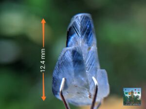 Ceylon Natural Heating Sapphire "ottu" Twin Crystal with Special magnificent Body Striations