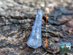 NATURAL HEATING SAPPHIRE CRYSTAL "Ottu Crystal"