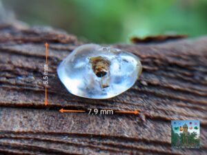 Ancient Natural Sapphire "ottu" Necklace Bead from Sri Lanka 🇱🇰 "mukkaru stone"