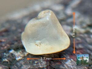 NATURAL YELLOW SAPPHIRE ROUGH GEMSTONE