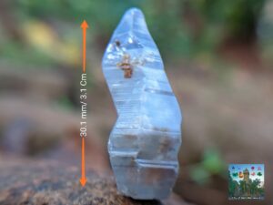 CEYLON NATURAL HEATING SAPPHIRE CRYSTAL ( glass body "geuda" crystal )