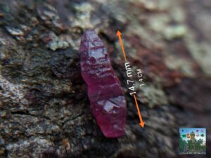 CEYLON NATURAL RARE RUBY CRYSTAL  "SRI LANKAN RUBY"