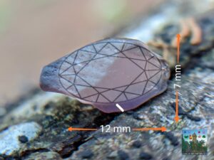 Ceylon Natural Purple Spinel Rough Gemstones