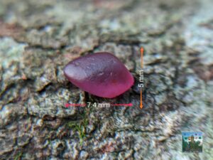 NATURAL PADPARADSCHA SAPPHIRE ROUGH GEMSTONE
