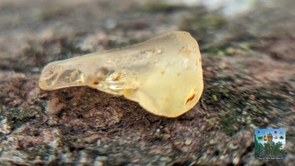 CEYLON NATURAL YELLOW SAPPHIRE ROUGH LOT