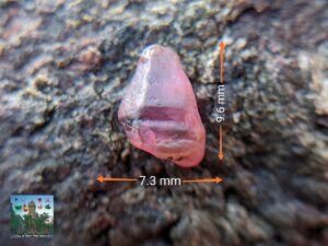 CEYLON NATURAL PADPARADSCHA SAPPHIRE HALF CRYSTAL ( King 👑 Sapphire )