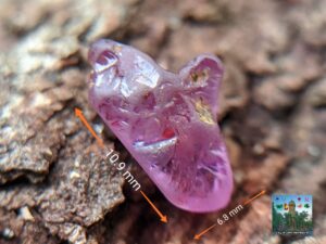 Ceylon Natural Pink Sapphire Rough Stone
