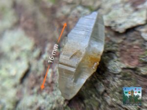 CEYLON NATURAL WHITE SAPPHIRE COMPLETE CRYSTAL ( glass body crystal )