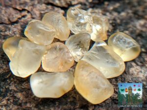 CEYLON NATURAL YELLOW SAPPHIRE ROUGH LOT ( පුෂ්පරාග දලන් ලොට් )