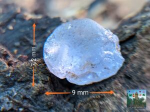 Ceylon Natural Light Blue Sapphire Rough Gemstone