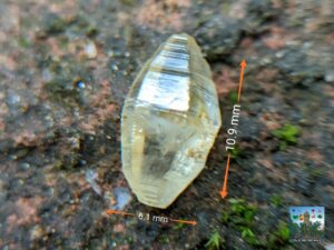 CEYLON NATURAL YELLOW SAPPHIRE COMPLETE CRYSTAL ( glass body crystal )