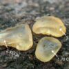 CEYLON NATURAL YELLOW SAPPHIRE ROUGH LOT