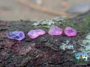 Natural Pink Sapphire Rough Gemstone Lot ( with colour change Sapphire ) රතු ලොට්