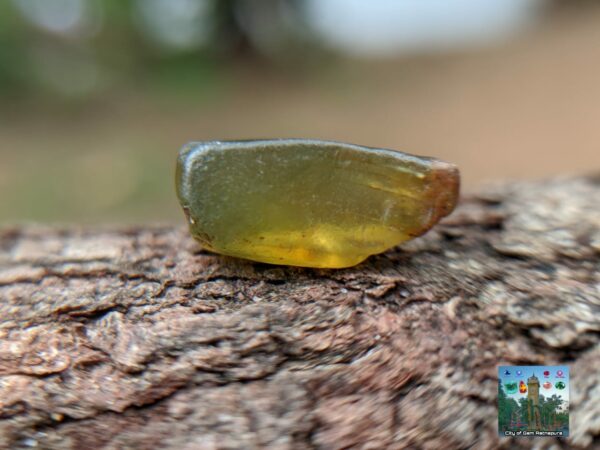 CEYLON NATURAL OLIVE GREEN ZIRCON ROUGH GEMSTONES - city of gem Ratnapura
