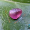 CEYLON NATURAL PINK SAPPHIRE ROUGH GEMSTONE COUPLE - city of gem Ratnapura
