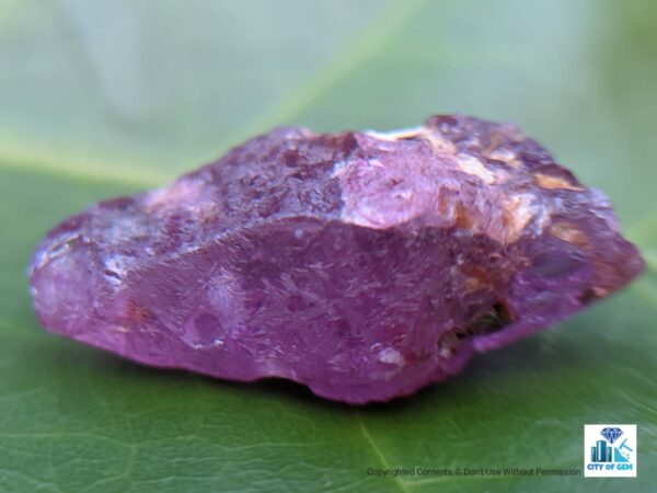 Ceylon Natural Pinkish-purple Sapphire Crystal ( Rough Glass Body ) - city of gem Ratnapura