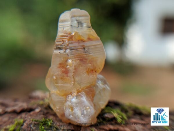 Ceylon Natural Sapphire Twin Crystal ( Rough Glass Body ) - city of gem Ratnapura