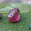 CEYLON NATURAL PINK SAPPHIRE ROUGH GEMSTONE COUPLE - city of gem Ratnapura