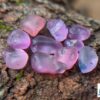 CEYLON NATURAL PINK SAPPHIRE ROUGH GEMSTONES LOT - city of gem Ratnapura