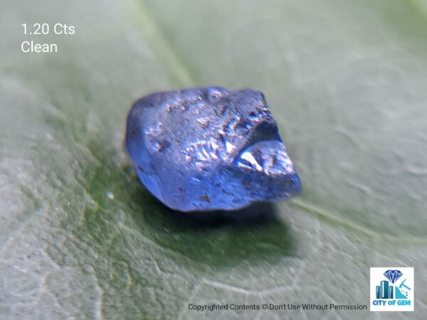 Ceylon Natural Sapphire Rough Gemstone Lot