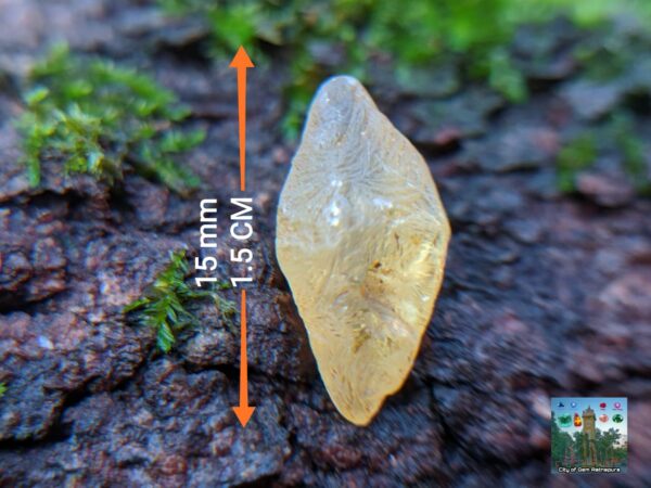 Ceylon Natural Yellow Sapphire Alluvial Crystal with Amazing Natural Body Carvings ( Collector peice, not for faceting) - city of gem Ratnapura