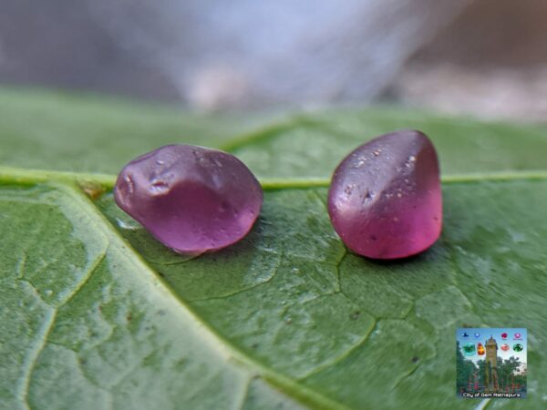 CEYLON NATURAL PINK SAPPHIRE ROUGH GEMSTONE COUPLE - city of gem Ratnapura
