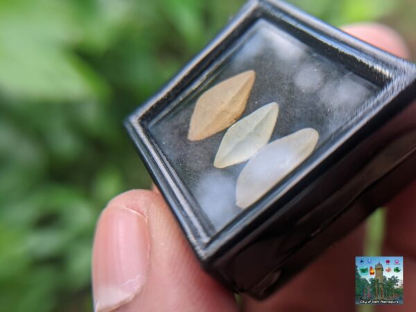 _Ceylon Natural Small Sapphire Crystals Collection. - city of gem Ratnapura