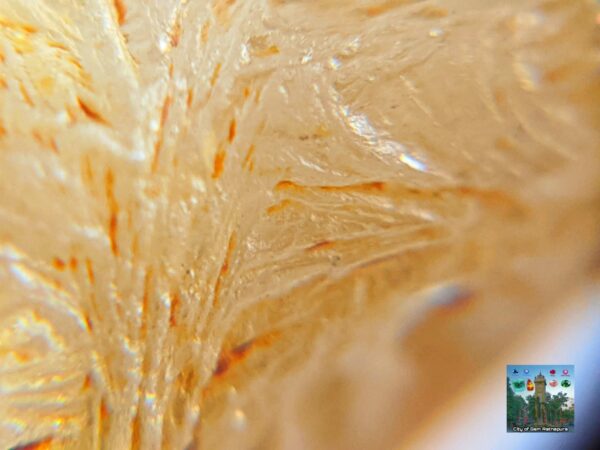 Ceylon Natural Yellow Sapphire Alluvial Crystal with Amazing Natural Body Carvings ( Collector peice, not for faceting) - city of gem Ratnapura