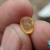 CEYLON NATURAL YELLOW SAPPHIRE ROUGH GEMSTONE - city of gem Ratnapura