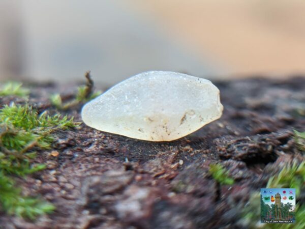 _Ceylon Natural Small Sapphire Crystals Collection. - city of gem Ratnapura