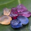 Ceylon Natural Sapphire Rough Gemstone Lot