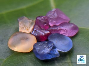 Ceylon Natural Sapphire Rough Gemstone Lot