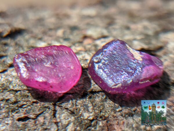CEYLON NATURAL SAPPHIRE ROUGH GEMSTONE LOT ( රතු ලොට් )- city of is Ratnapura