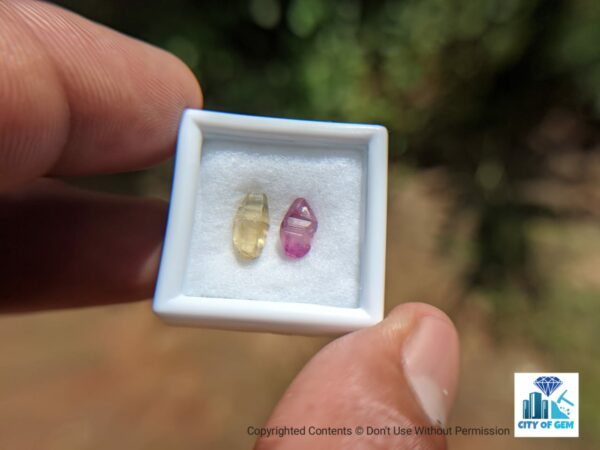 Ceylon Natural Pink Sapphire and Yellow Sapphire Shiny Glass Body Crystal Couple - city of gem Ratnapura