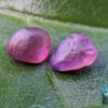 CEYLON NATURAL PINK SAPPHIRE ROUGH GEMSTONE COUPLE - city of gem Ratnapura