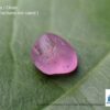 CEYLON NATURAL PINK SAPPHIRE ROUGH GEMSTONES LOT - city of gem Ratnapura