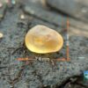 CEYLON NATURAL YELLOW SAPPHIRE ROUGH GEMSTONE - city of gem Ratnapura